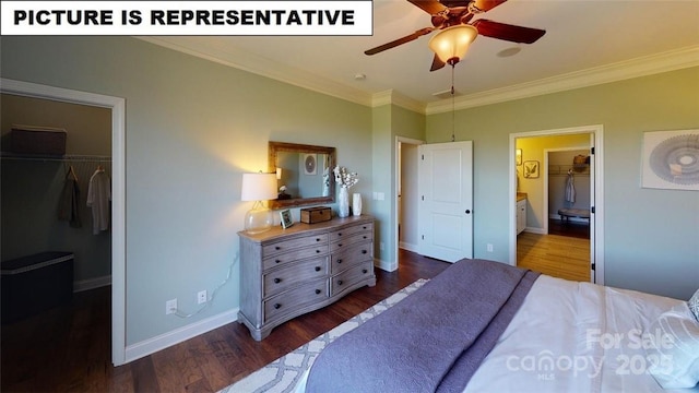 bedroom featuring a spacious closet, dark wood finished floors, crown molding, a closet, and baseboards