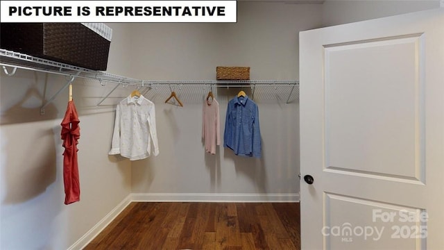 spacious closet with dark wood-style flooring