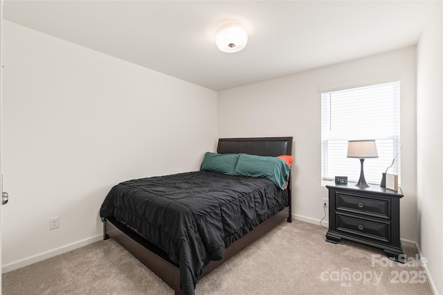 13221 Gadwal Pintail Dr, Charlotte, NC 28262 - bedroom featuring light carpet and baseboards