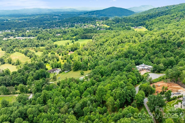 120 Split Rock Trl, Arden, NC 28704 - bird's eye view of a mountain backdrop