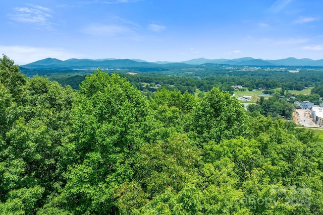 120 Split Rock Trl, Arden, NC 28704 - view of mountain background