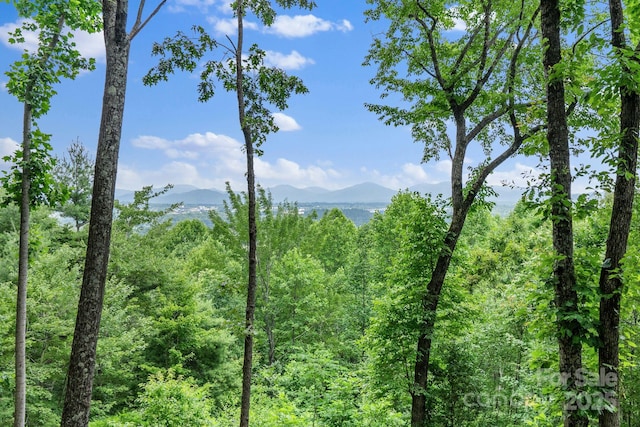120 Split Rock Trl, Arden, NC 28704 - mountain view featuring a heavily wooded area