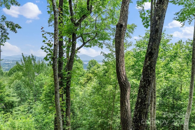 120 Split Rock Trl, Arden, NC 28704 - view of wooded area with a mountain view