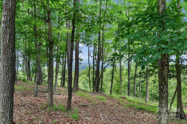 120 Split Rock Trl, Arden, NC 28704 - view of tree filled area