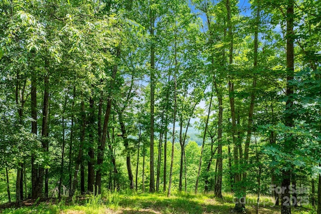 120 Split Rock Trl, Arden, NC 28704 - view of wooded area