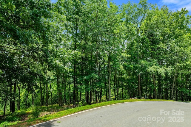 120 Split Rock Trl, Arden, NC 28704 - view of asphalt street