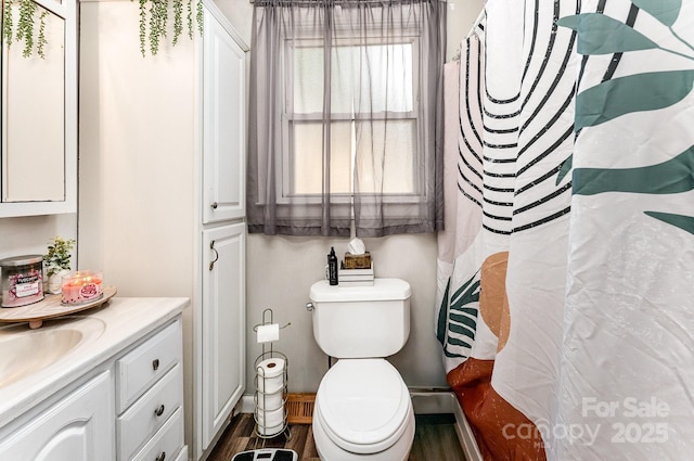 107 Oakland Rd, Belmont, NC 28012 - full bathroom featuring vanity, toilet, wood finished floors, and a shower with curtain