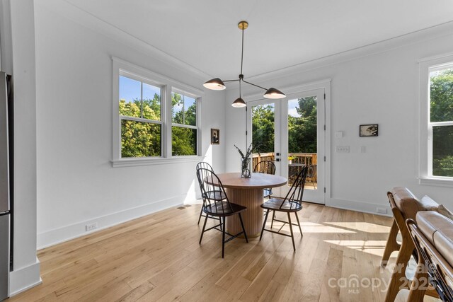 304 Keswick Ave, Charlotte, NC 28206 - photo 18