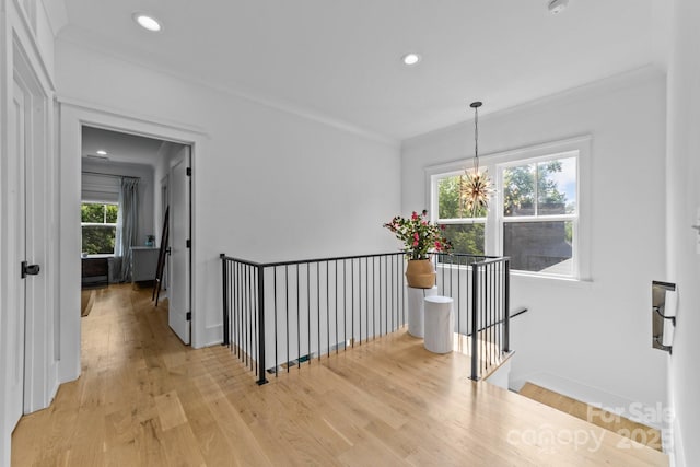 304 Keswick Ave, Charlotte, NC 28206 - photo 22