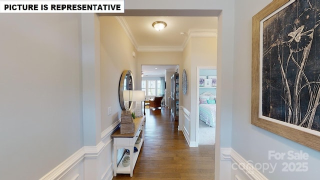 hall featuring ornamental molding and wood finished floors