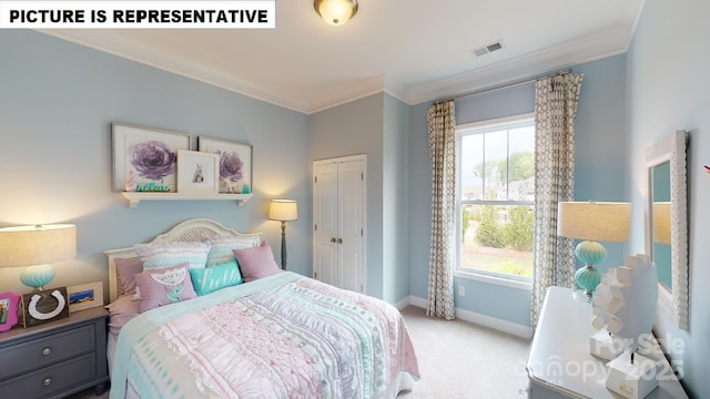 bedroom featuring crown molding, carpet flooring, multiple windows, baseboards, and a closet