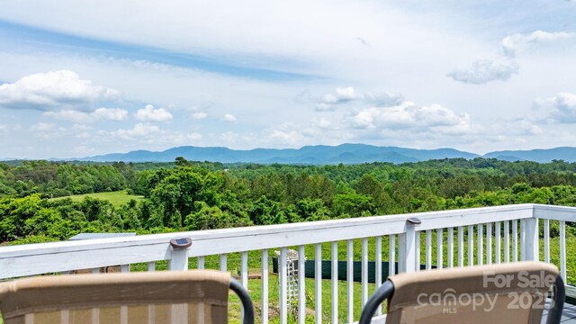 5063 Dysartsville Rd, Morganton, NC 28655 - photo 27