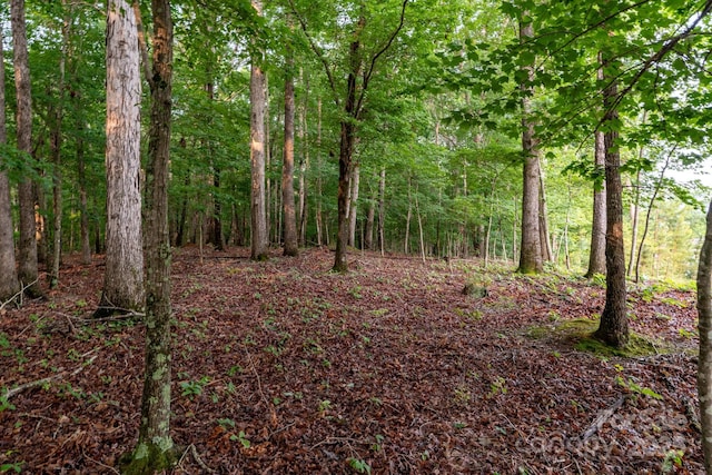 1919 Madeira Cir, Waxhaw, NC 28173 - view of tree filled area