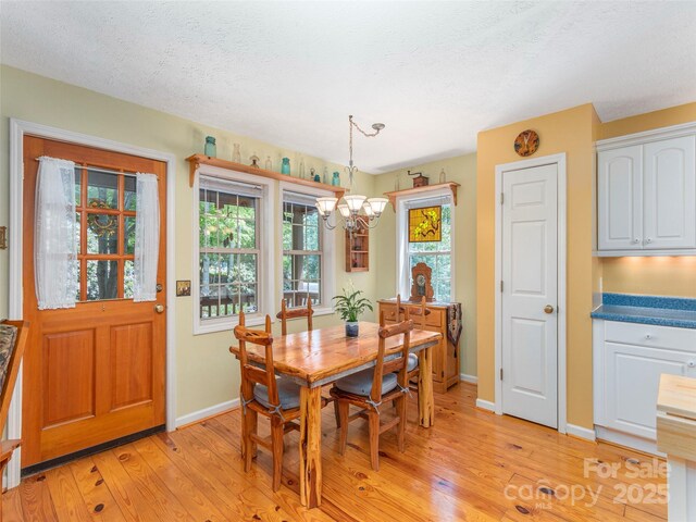 41 Trapper Ln, Waynesville, NC 28785 - photo 7