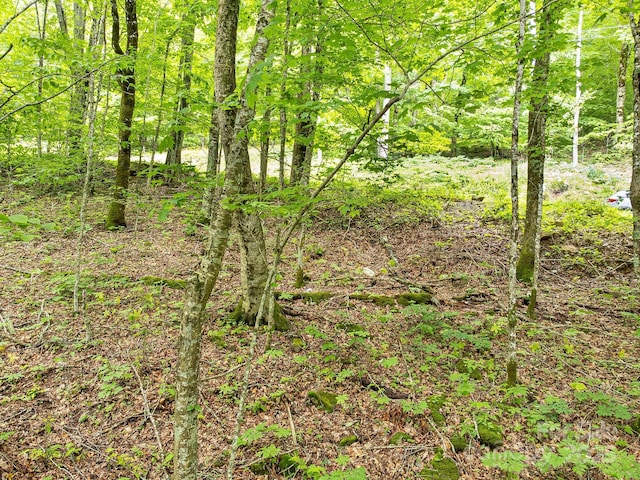 65 Bee Tree Ln, Mars Hill, NC 28754