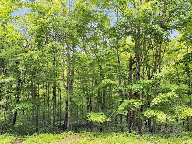 65 Bee Tree Ln, Mars Hill, NC 28754