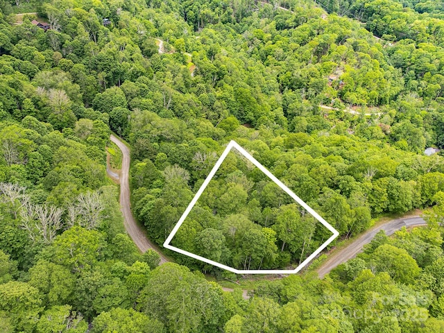 65 Bee Tree Ln, Mars Hill, NC 28754