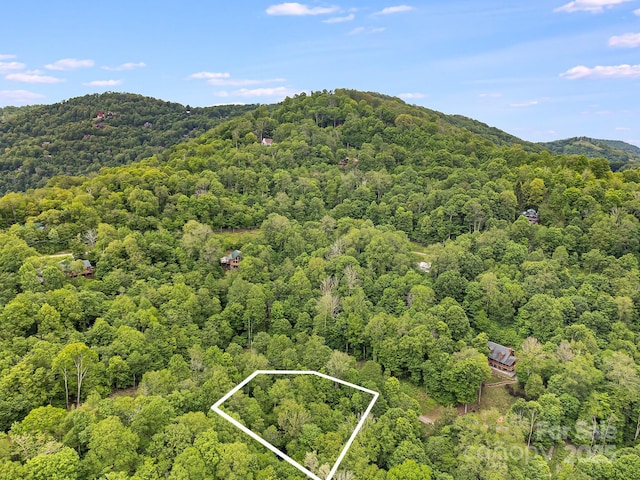 65 Bee Tree Ln, Mars Hill, NC 28754