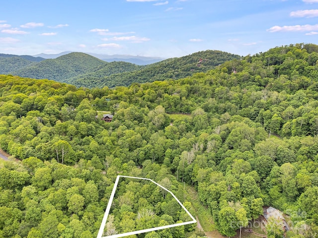 65 Bee Tree Ln, Mars Hill, NC 28754