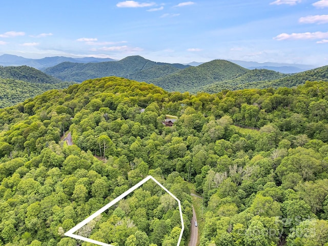65 Bee Tree Ln, Mars Hill, NC 28754