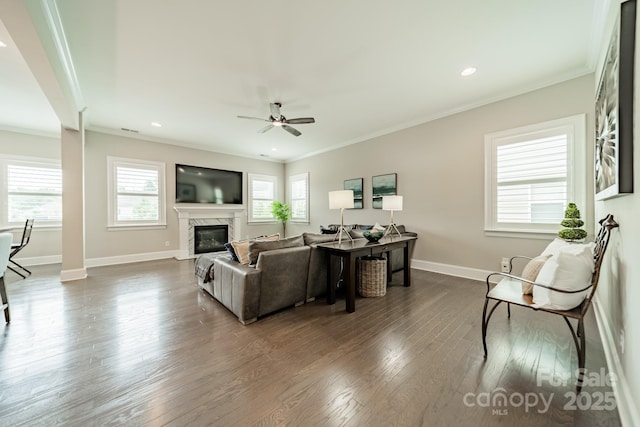 515 Lizzie Ln, Fort Mill, SC 29708 - living room featuring ornamental molding, ceiling fan, dark wood-style floors, baseboards, and a premium fireplace