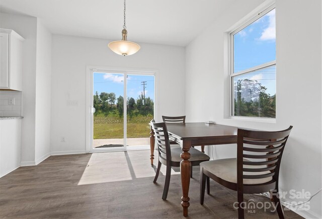 1433 Harleston St, Indian Trail, NC 28079 - dining space with dark wood finished floors and baseboards
