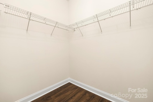 spacious closet with dark wood-style flooring