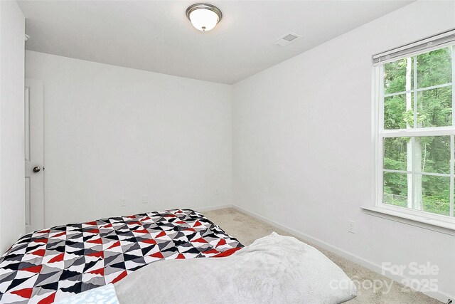 1218 Rosada Ave, Charlotte, NC 28213 - photo 25