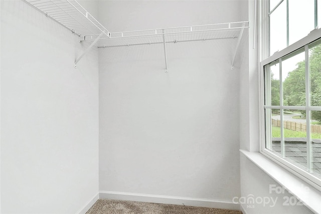 1218 Rosada Ave, Charlotte, NC 28213 - photo 31