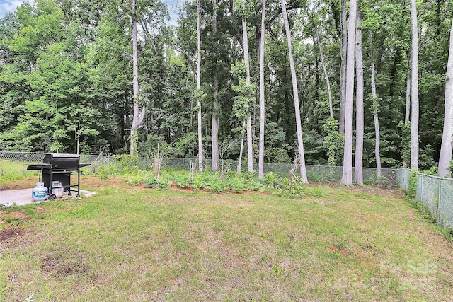 1218 Rosada Ave, Charlotte, NC 28213 - photo 34