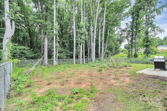1218 Rosada Ave, Charlotte, NC 28213 - photo 37