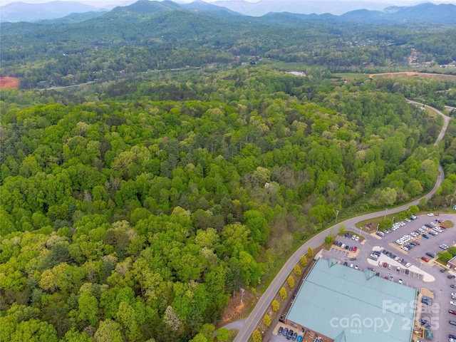 1817 Lakeside Dr, Franklin, NC 28734
