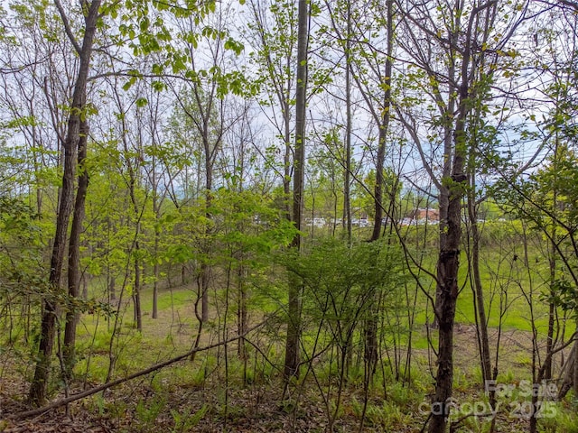 1817 Lakeside Dr, Franklin, NC 28734