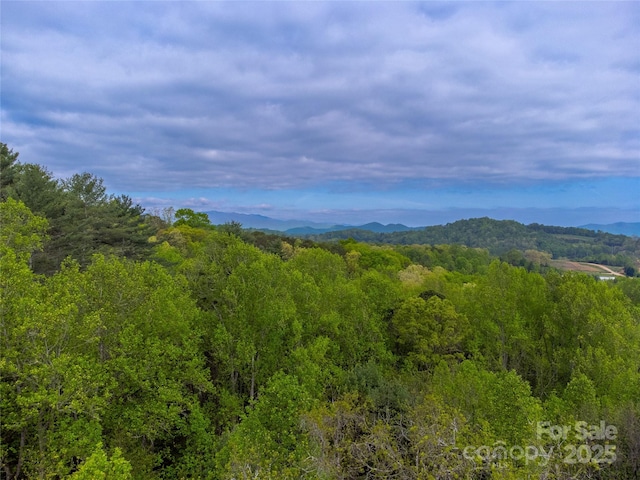 1817 Lakeside Dr, Franklin, NC 28734