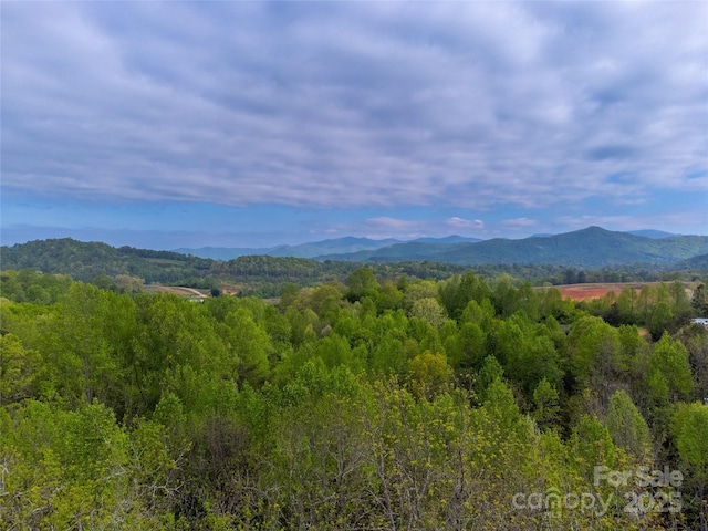 1817 Lakeside Dr, Franklin, NC 28734