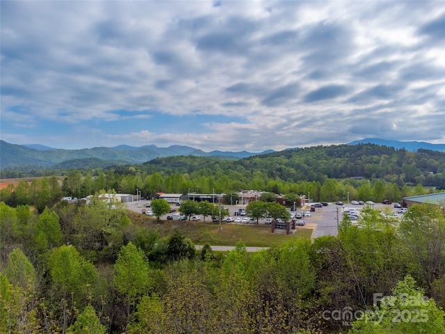 1817 Lakeside Dr, Franklin, NC 28734