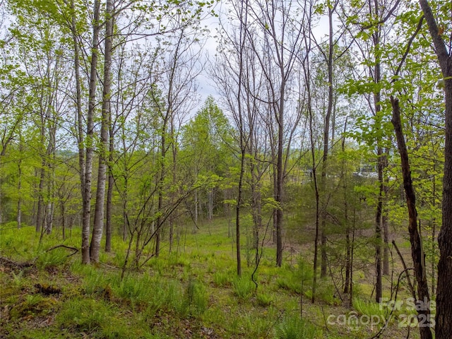 1817 Lakeside Dr, Franklin, NC 28734