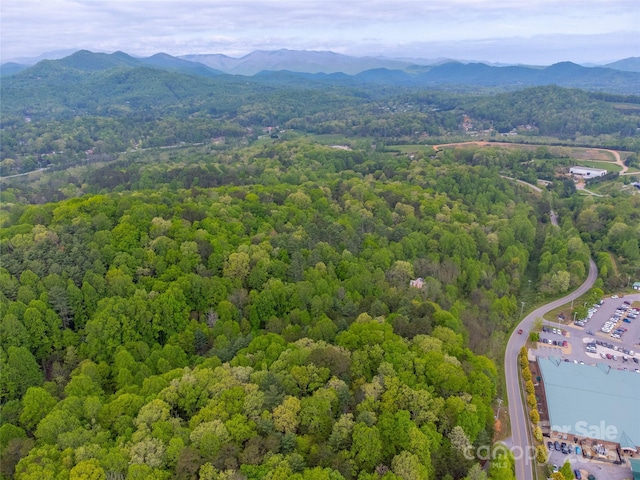 1817 Lakeside Dr, Franklin, NC 28734