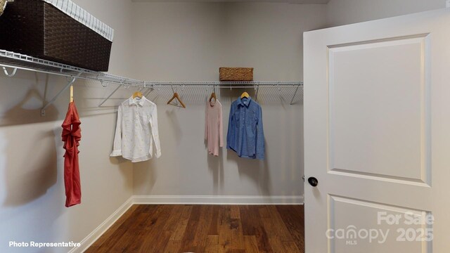 106 Noah Ln, Troutman, NC 28166 - walk in closet with dark wood-style flooring