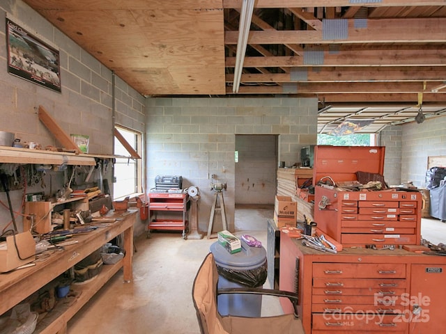 269 Johnson Dairy Rd, Mooresville, NC 28115 - miscellaneous room with a workshop area, unfinished concrete flooring, and concrete block wall