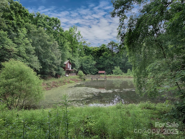 269 Johnson Dairy Rd, Mooresville, NC 28115 - view of yard with a view of trees and a water view