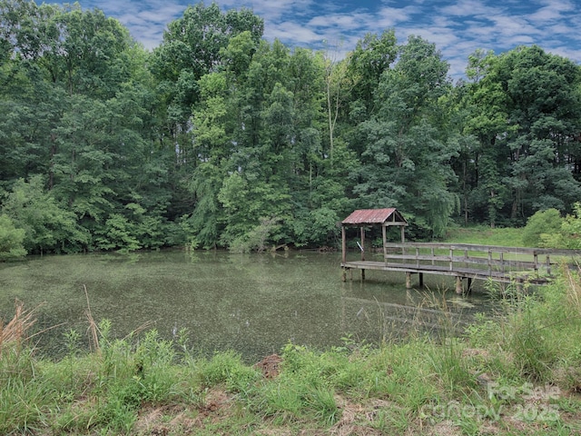 269 Johnson Dairy Rd, Mooresville, NC 28115 - dock area with a wooded view