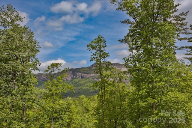 view of mountain background