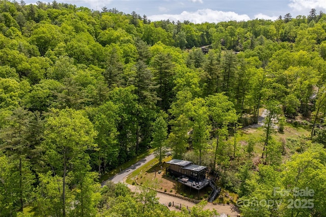 aerial view of a forest