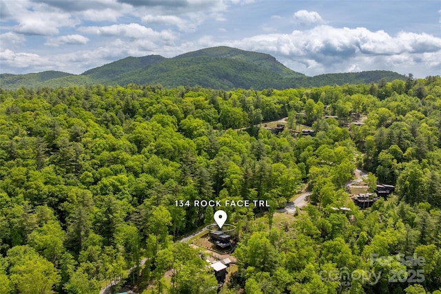 mountain view featuring a heavily wooded area