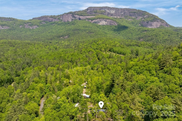 view of mountain backdrop with a forest