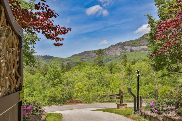 view of mountain backdrop with a heavily wooded area