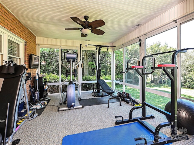 202 Cameron Dr, Kings Mountain, NC 28086 - exercise room with ceiling fan and carpet