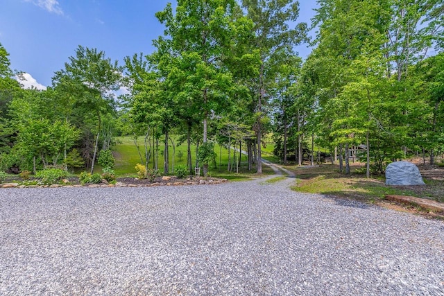 view of dirt / gravel road with view of scattered trees