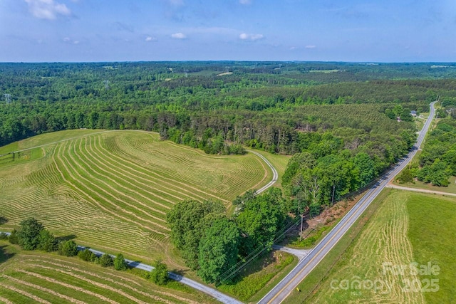 bird's eye view of a forest